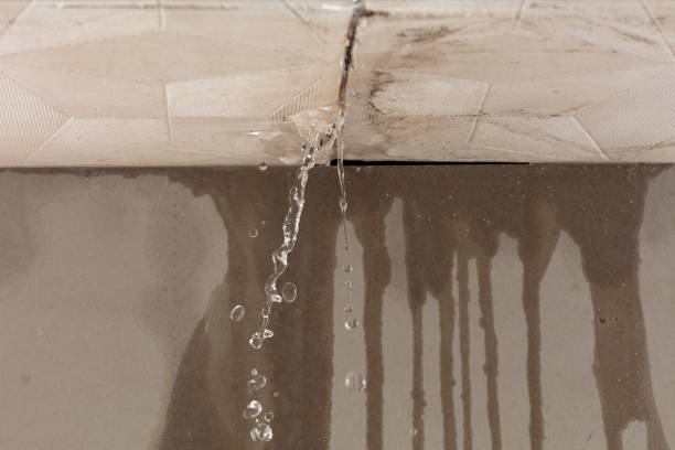 Professional Sewage Cleanup technician working in Isle, MN